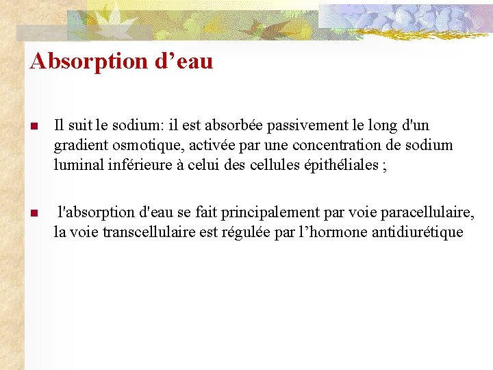 Absorption d’eau n Il suit le sodium: il est absorbée passivement le long d'un