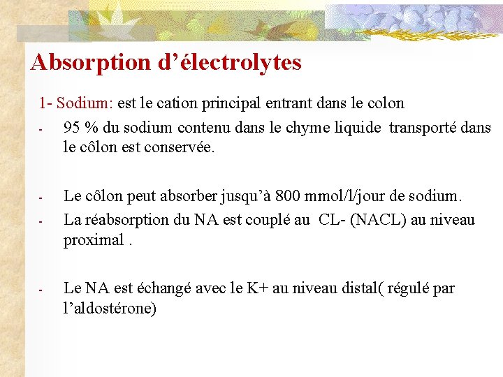 Absorption d’électrolytes 1 - Sodium: est le cation principal entrant dans le colon 95