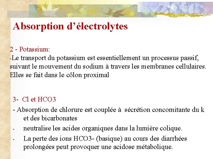 Absorption d’électrolytes 2 - Potassium: -Le transport du potassium est essentiellement un processus passif,