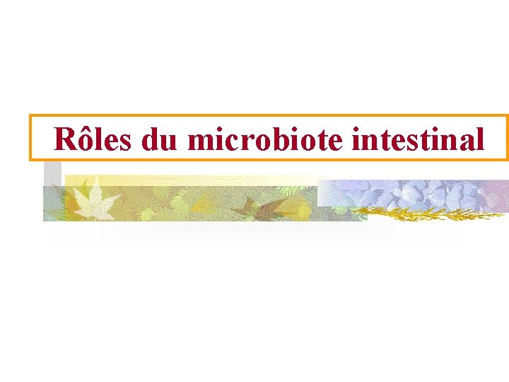 Rôles du microbiote intestinal 