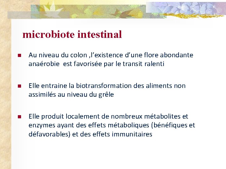 microbiote intestinal n Au niveau du colon , l’existence d’une flore abondante anaérobie est