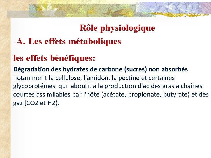 Rôle physiologique A. Les effets métaboliques les effets bénéfiques: Dégradation des hydrates de carbone