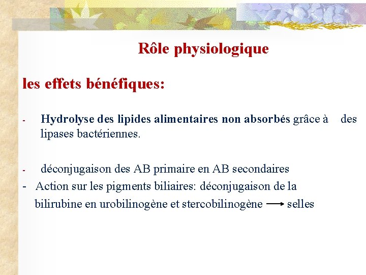 Rôle physiologique les effets bénéfiques: - Hydrolyse des lipides alimentaires non absorbés grâce à