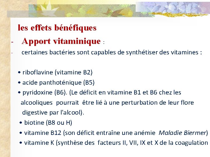 - les effets bénéfiques Apport vitaminique : certaines bactéries sont capables de synthétiser des