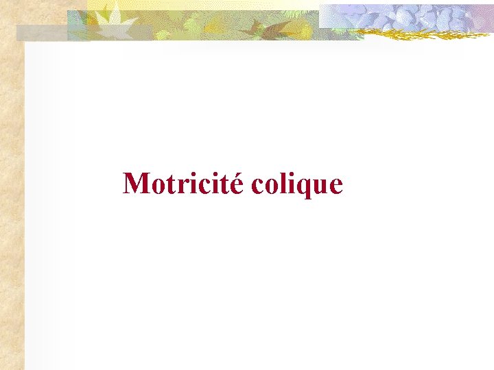Motricité colique 