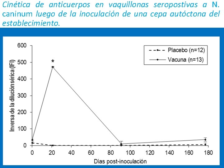 Cinética de anticuerpos en vaquillonas seropostivas a N. caninum luego de la inoculación de