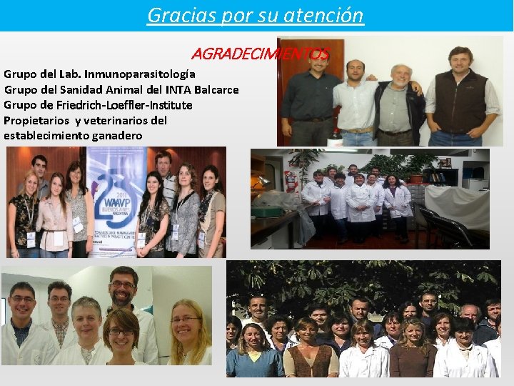 Gracias por su atención AGRADECIMIENTOS Grupo del Lab. Inmunoparasitología Grupo del Sanidad Animal del