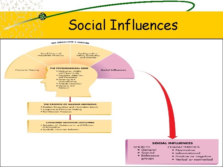 Social Influences 