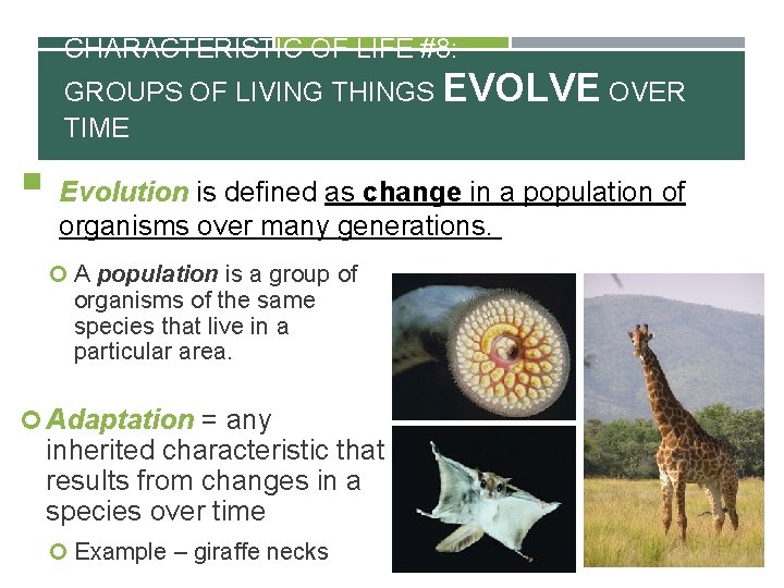 CHARACTERISTIC OF LIFE #8: GROUPS OF LIVING THINGS EVOLVE OVER TIME § Evolution is
