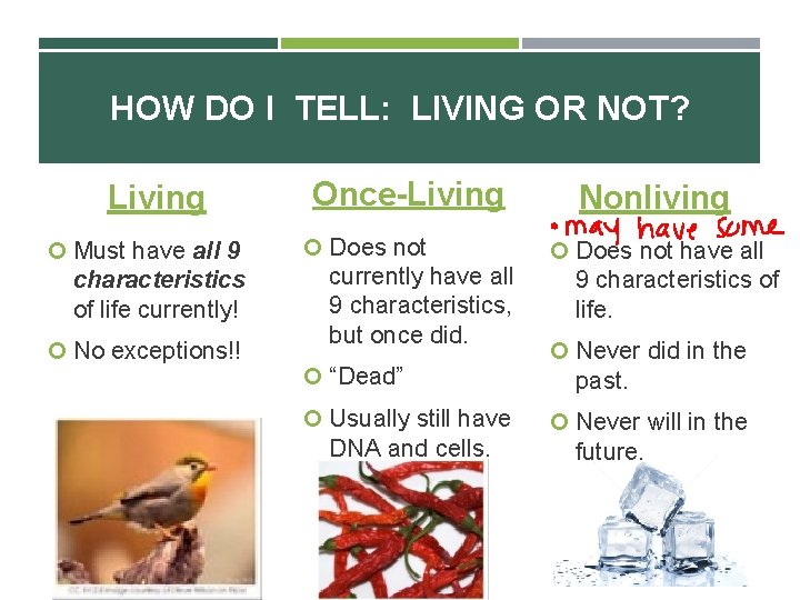 HOW DO I TELL: LIVING OR NOT? Living Must have all 9 characteristics of