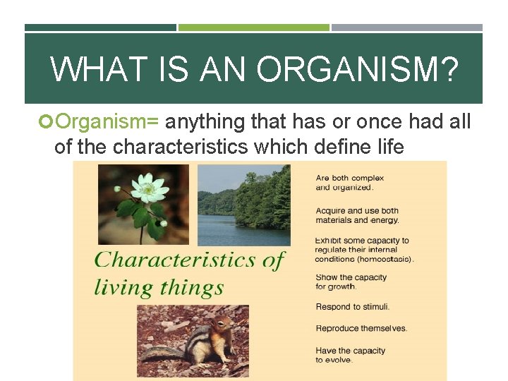 WHAT IS AN ORGANISM? Organism= anything that has or once had all of the
