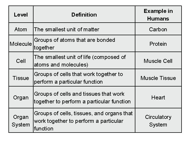 Level Atom Definition The smallest unit of matter Groups of atoms that are bonded