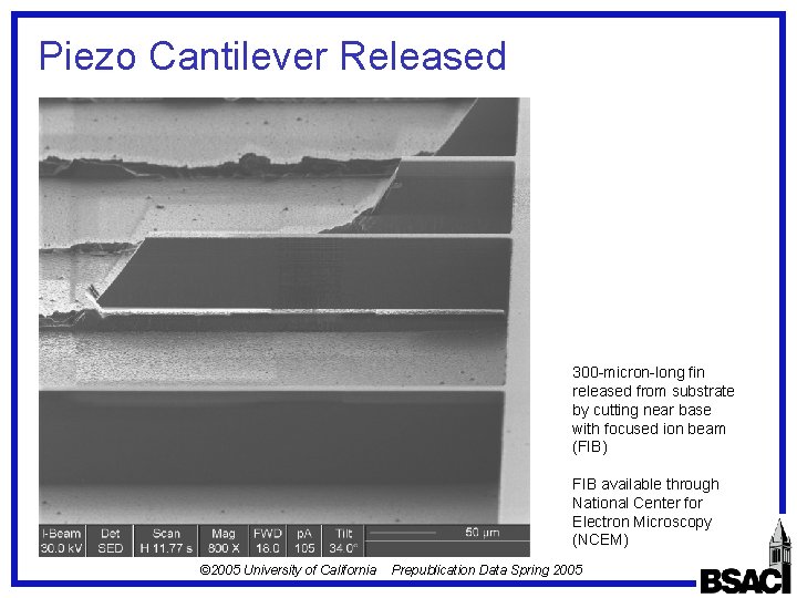 Piezo Cantilever Released 300 -micron-long fin released from substrate by cutting near base with