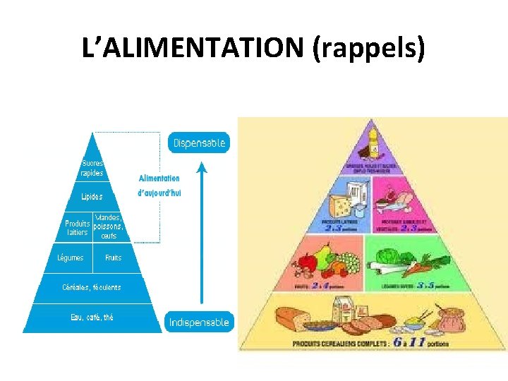 L’ALIMENTATION (rappels) 