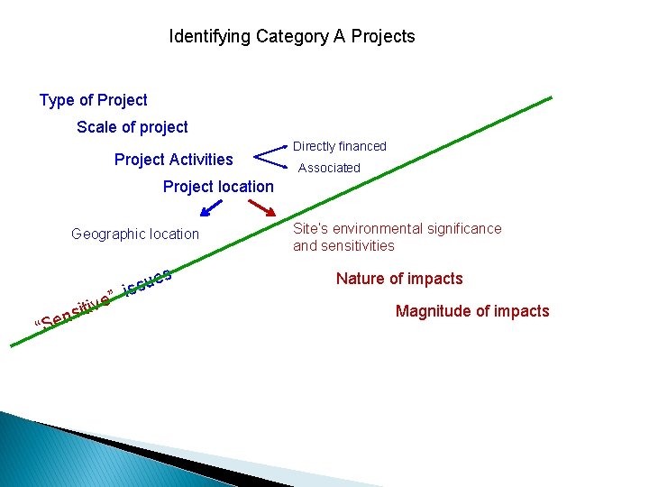 Identifying Category A Projects Type of Project Scale of project Project Activities Directly financed