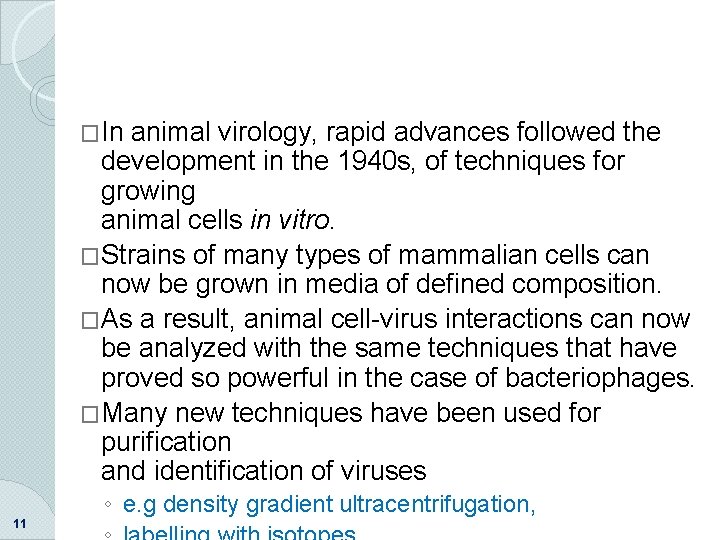 �In animal virology, rapid advances followed the development in the 1940 s, of techniques