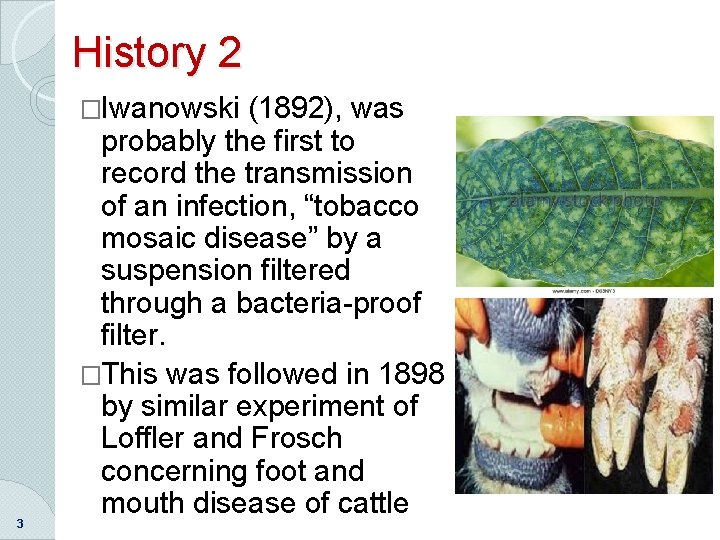 History 2 �Iwanowski 3 (1892), was probably the first to record the transmission of