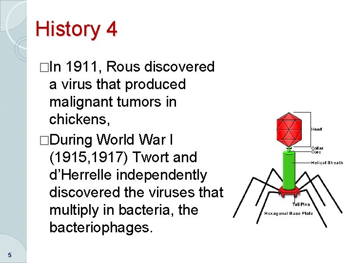 History 4 �In 1911, Rous discovered a virus that produced malignant tumors in chickens,