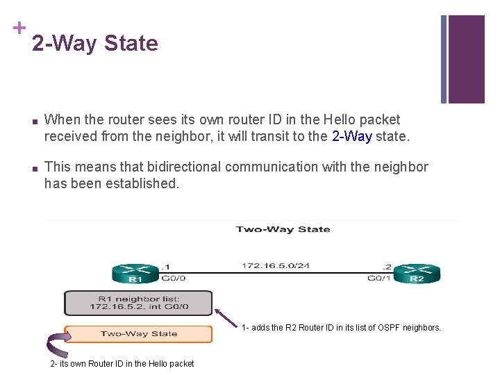 + 2 -Way State ■ When the router sees its own router ID in