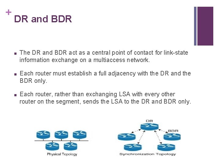 + DR and BDR ■ The DR and BDR act as a central point