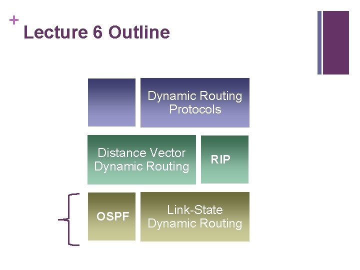 + Lecture 6 Outline Dynamic Routing Protocols Distance Vector Dynamic Routing OSPF RIP Link-State