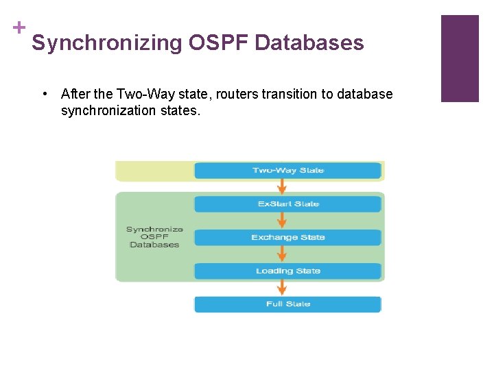 + Synchronizing OSPF Databases • After the Two-Way state, routers transition to database synchronization