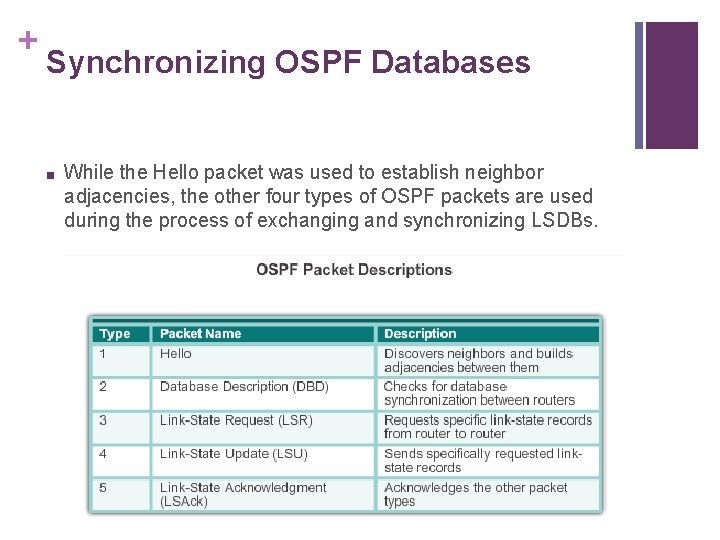 + Synchronizing OSPF Databases ■ While the Hello packet was used to establish neighbor