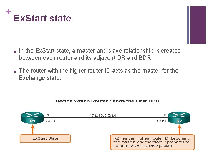 + Ex. Start state ■ In the Ex. Start state, a master and slave