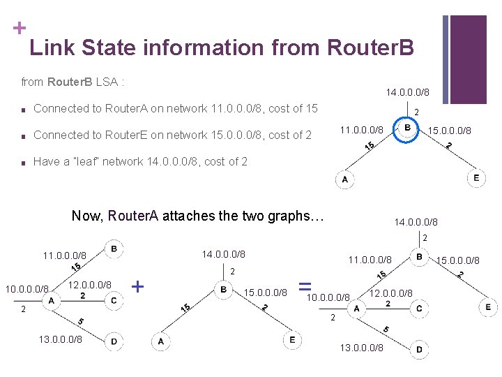 + Link State information from Router. B LSA : 14. 0. 0. 0/8 ■