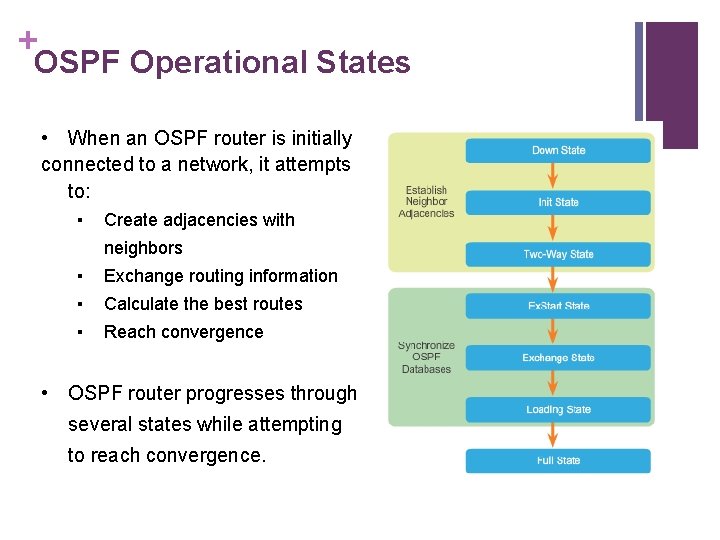 + OSPF Operational States • When an OSPF router is initially connected to a