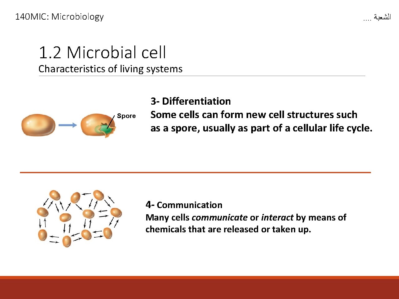 140 MIC: Microbiology . . ﺍﻟﺸﻌﺒﺔ 1. 2 Microbial cell Characteristics of living systems