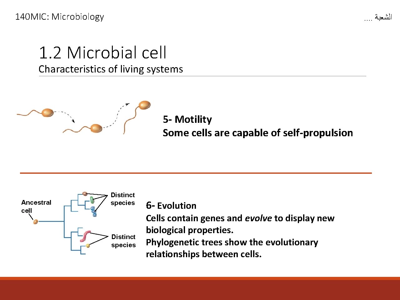 140 MIC: Microbiology . . ﺍﻟﺸﻌﺒﺔ 1. 2 Microbial cell Characteristics of living systems