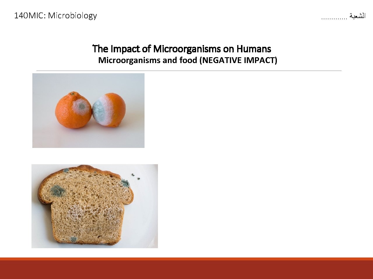 140 MIC: Microbiology . . . ﺍﻟﺸﻌﺒﺔ The Impact of Microorganisms on Humans Microorganisms