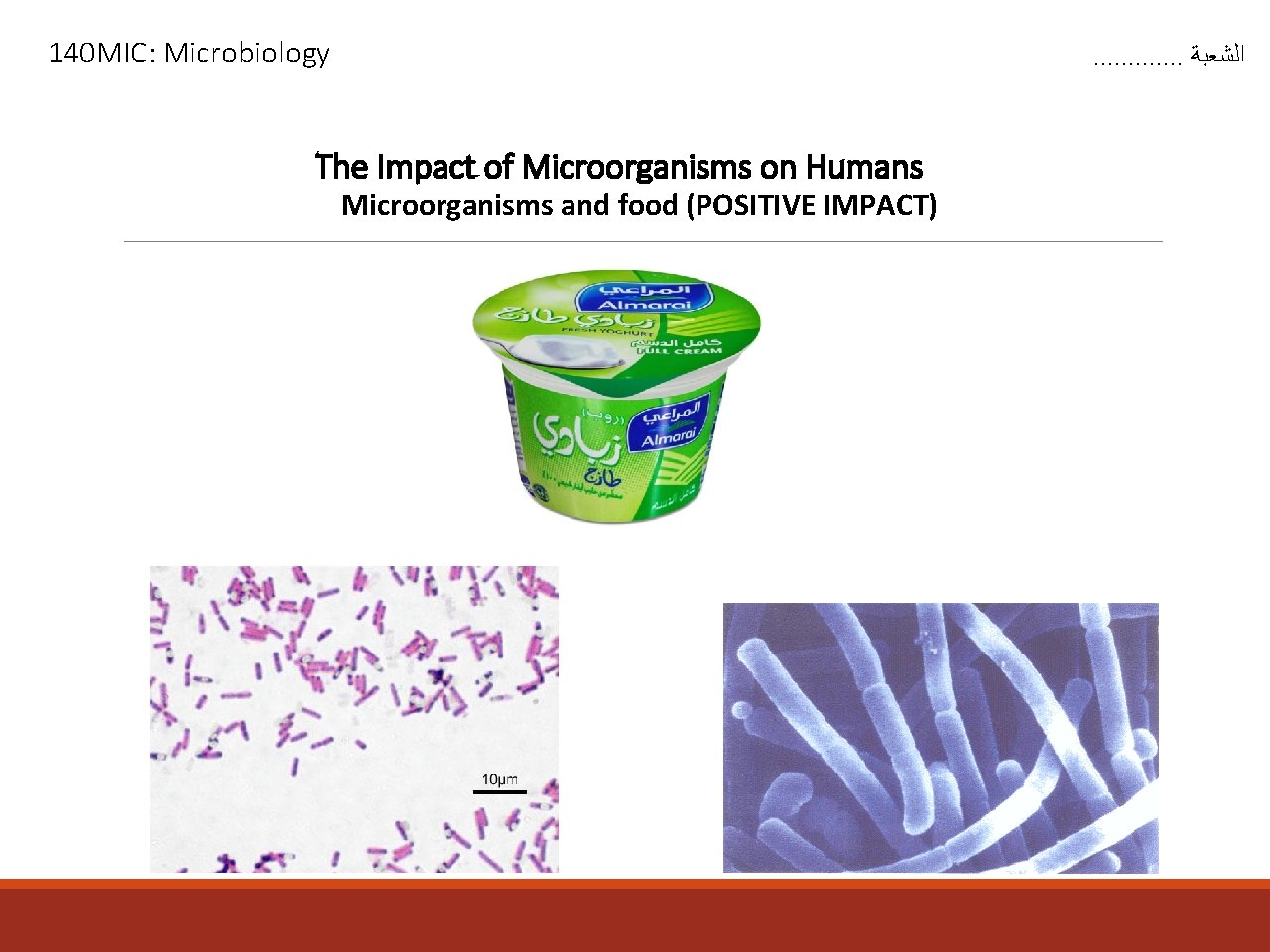 140 MIC: Microbiology . . . ﺍﻟﺸﻌﺒﺔ The Impact of Microorganisms on Humans Microorganisms
