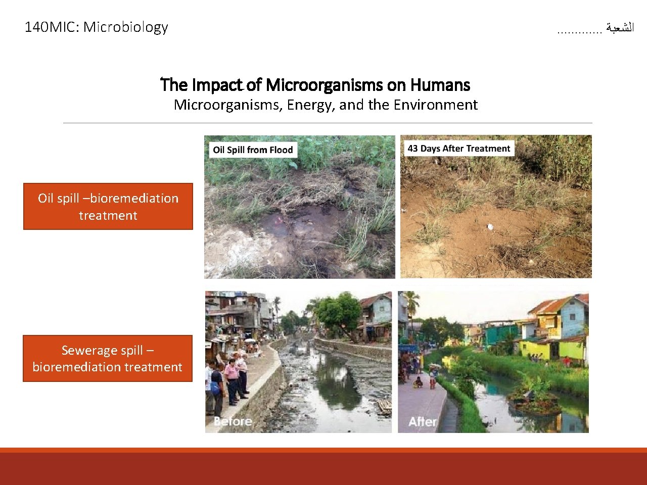 140 MIC: Microbiology . . . ﺍﻟﺸﻌﺒﺔ The Impact of Microorganisms on Humans Microorganisms,
