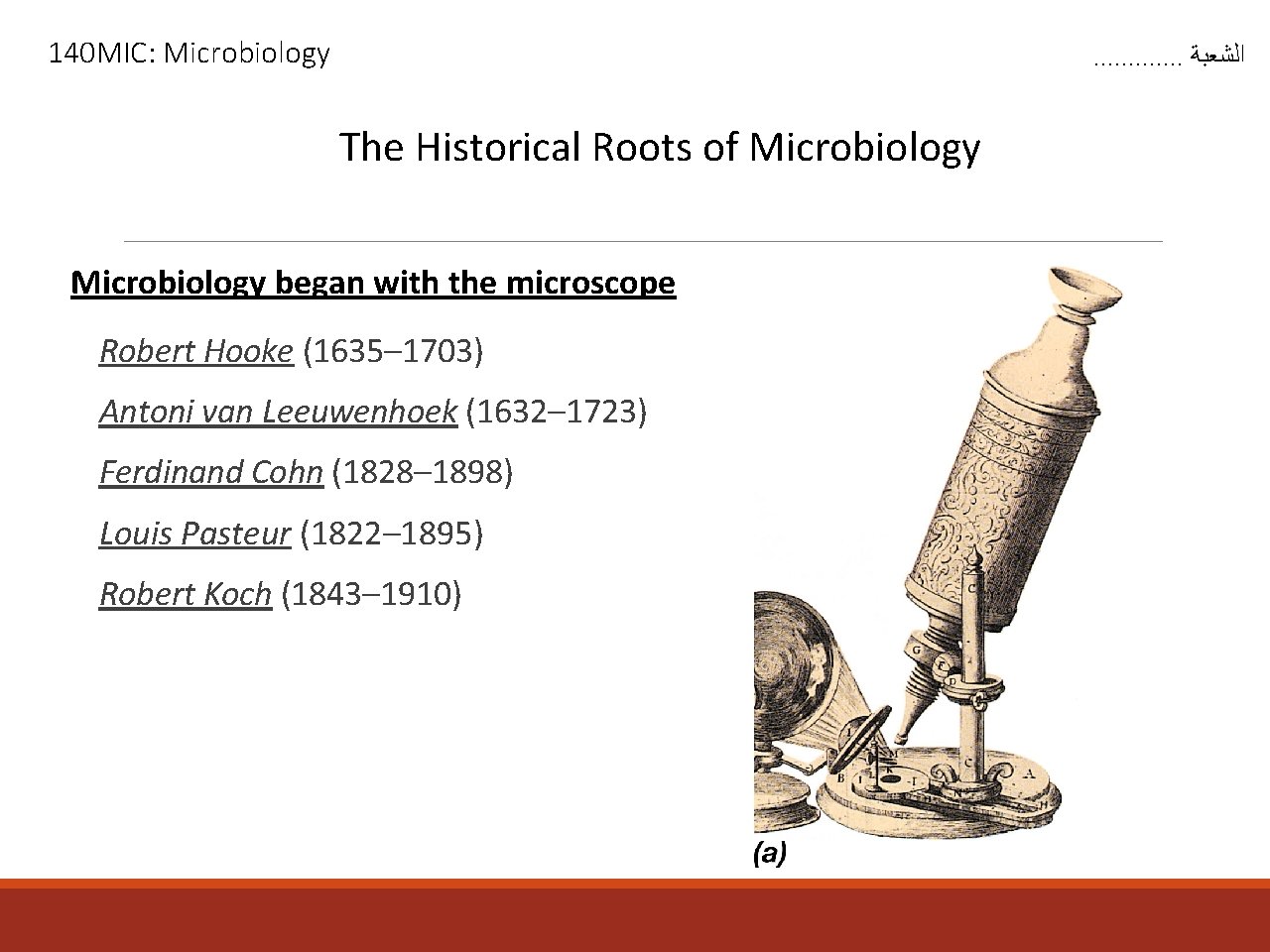 140 MIC: Microbiology . . . ﺍﻟﺸﻌﺒﺔ The Historical Roots of Microbiology began with