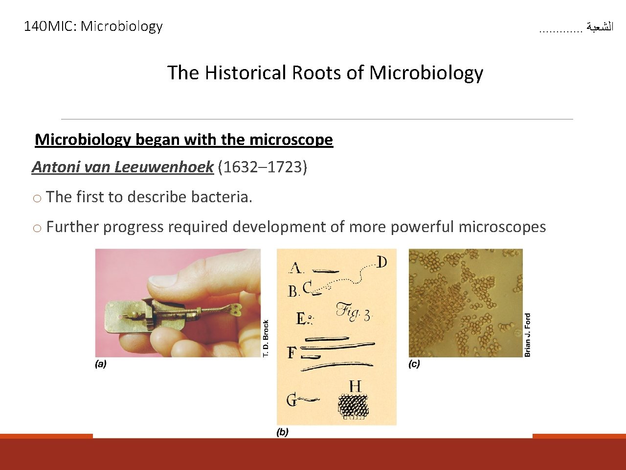 140 MIC: Microbiology . . . ﺍﻟﺸﻌﺒﺔ The Historical Roots of Microbiology began with