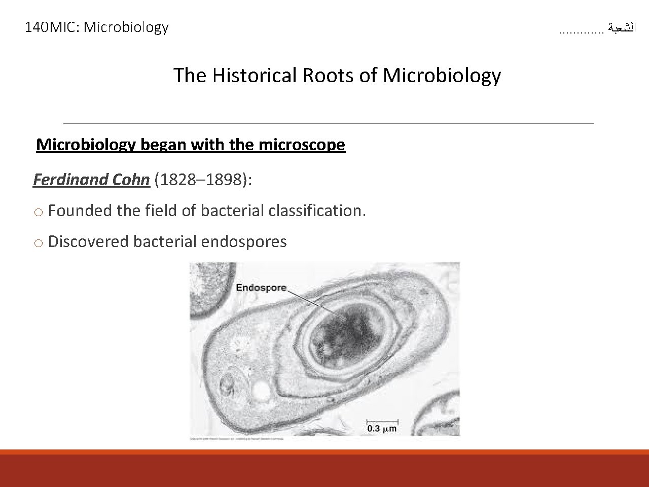 140 MIC: Microbiology . . . ﺍﻟﺸﻌﺒﺔ The Historical Roots of Microbiology began with