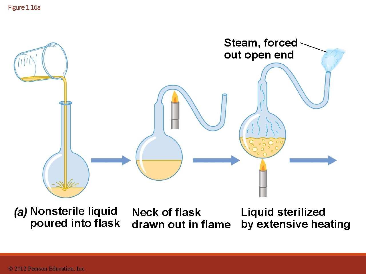 Figure 1. 16 a Steam, forced out open end Nonsterile liquid poured into flask