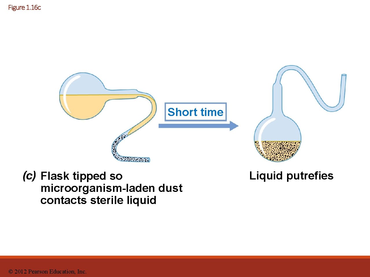 Figure 1. 16 c Short time Flask tipped so microorganism-laden dust contacts sterile liquid