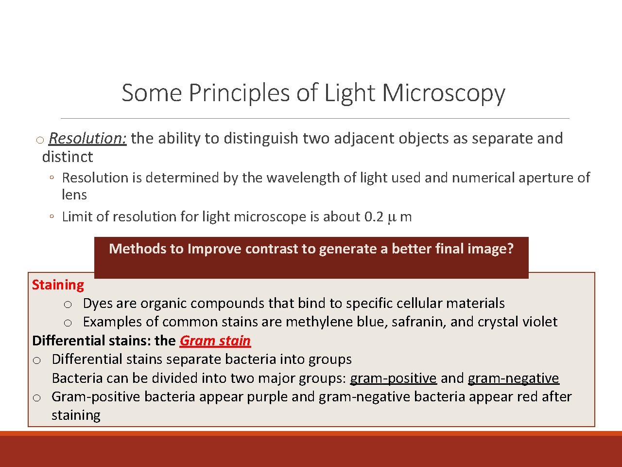 Some Principles of Light Microscopy o Resolution: the ability to distinguish two adjacent objects