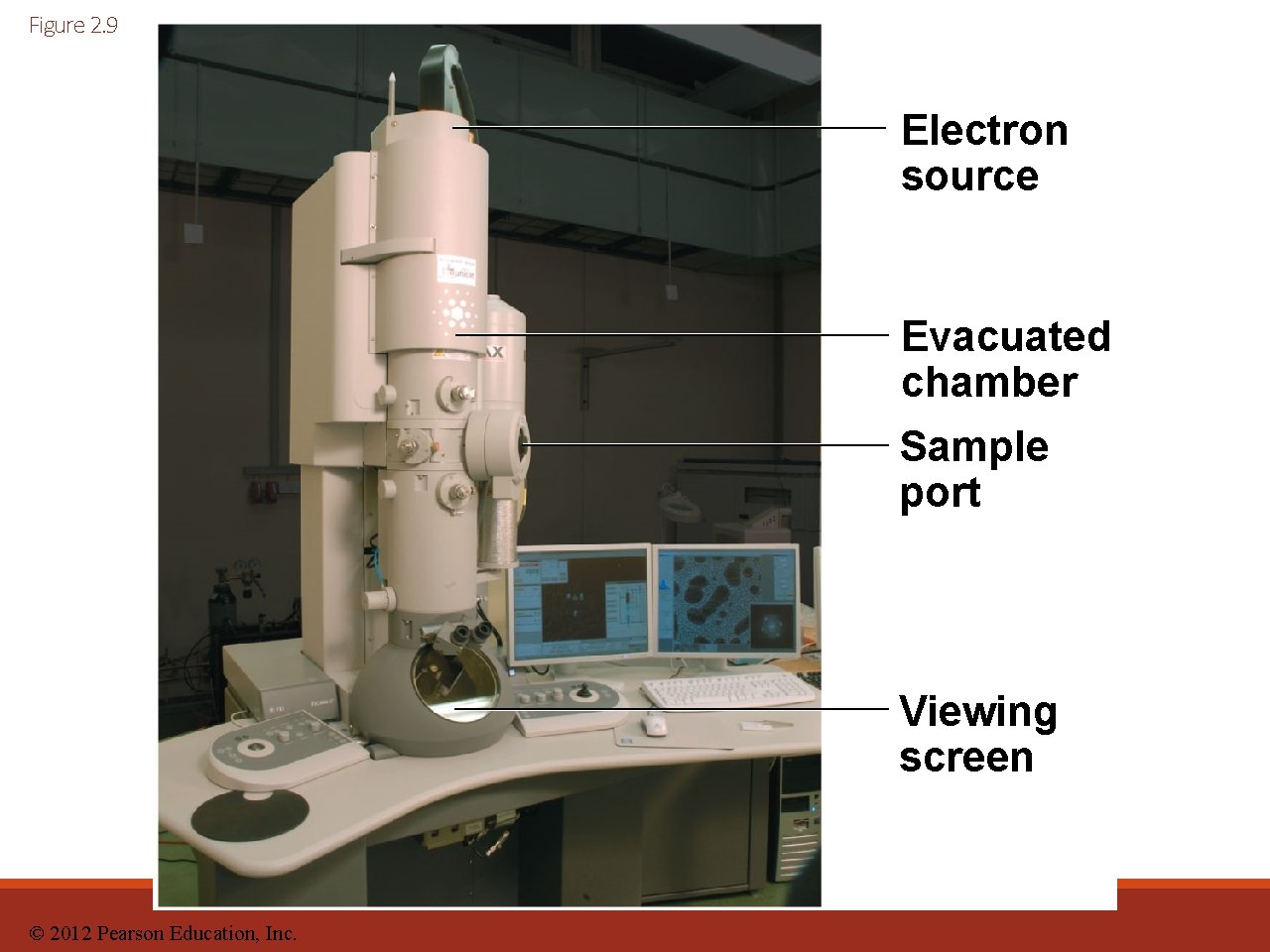 Figure 2. 9 Electron source Evacuated chamber Sample port Viewing screen © 2012 Pearson