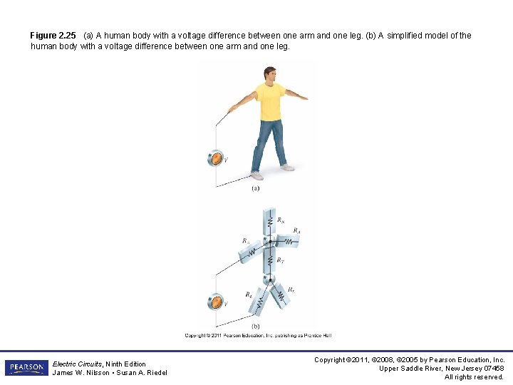 Figure 2. 25 (a) A human body with a voltage difference between one arm Figure 2. 25 (a) A human body with a voltage difference between one arm