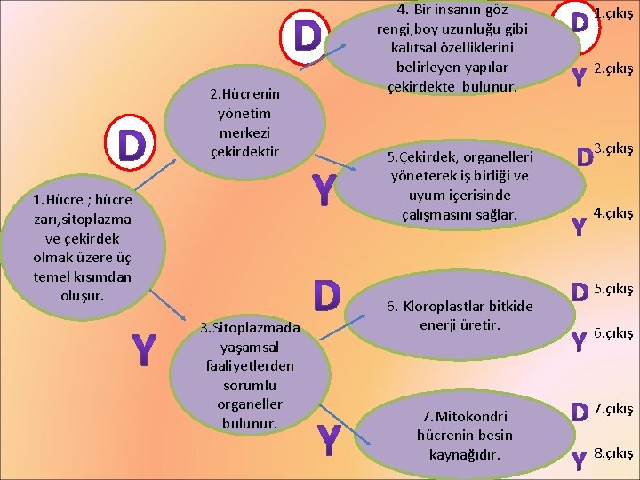 2. Hücrenin yönetim merkezi çekirdektir 1. Hücre ; hücre zarı, sitoplazma ve çekirdek olmak