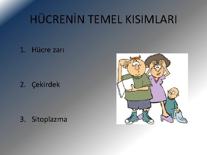 HÜCRENİN TEMEL KISIMLARI 1. Hücre zarı 2. Çekirdek 3. Sitoplazma 