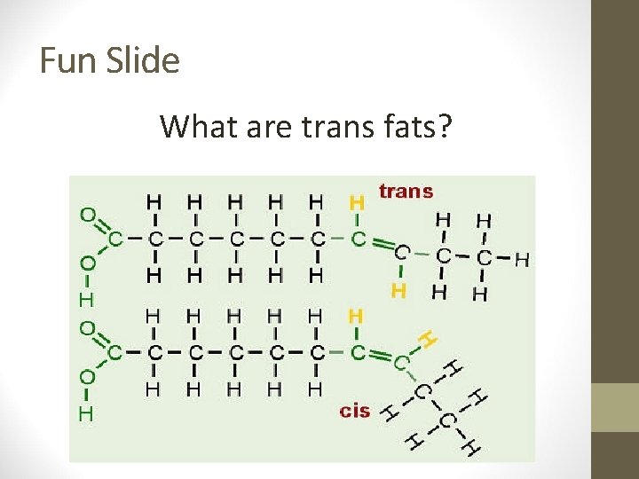 Fun Slide What are trans fats? 