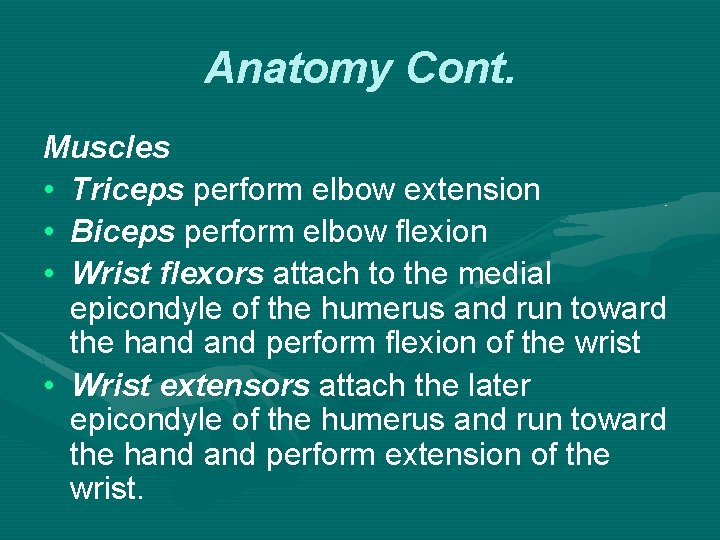 Anatomy Cont. Muscles • Triceps perform elbow extension • Biceps perform elbow flexion •