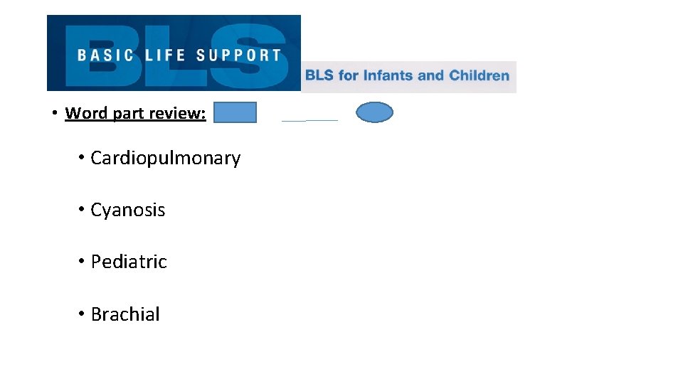  • Word part review: • Cardiopulmonary • Cyanosis • Pediatric • Brachial 