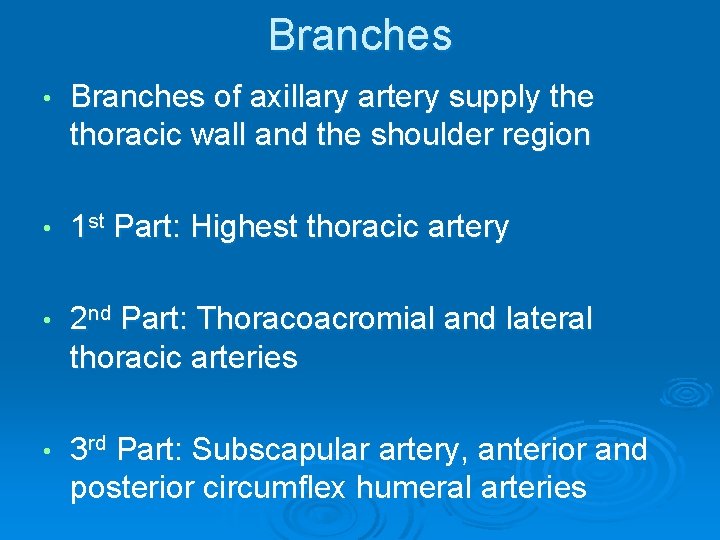 Branches • Branches of axillary artery supply the thoracic wall and the shoulder region