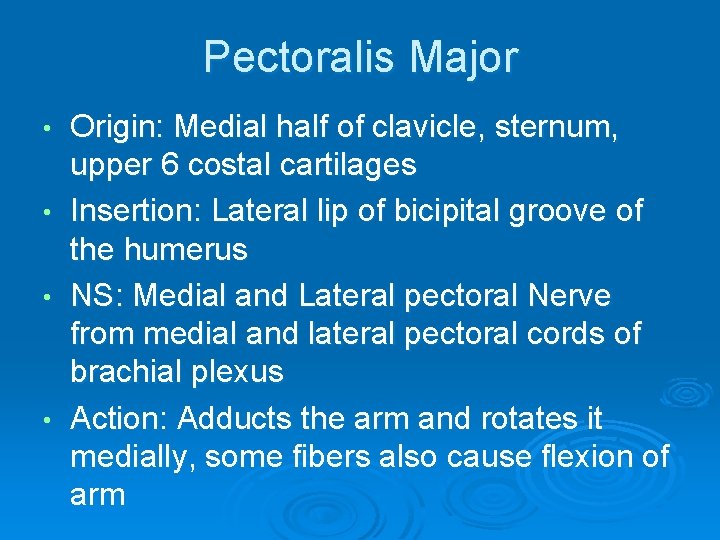 Pectoralis Major Origin: Medial half of clavicle, sternum, upper 6 costal cartilages • Insertion: